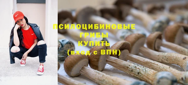 ГАЛЛЮЦИНОГЕННЫЕ ГРИБЫ Абдулино