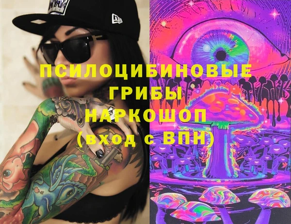 ешки Абинск