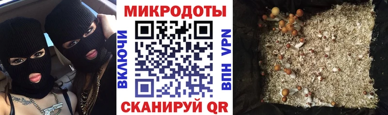 где продают   Солигалич  Псилоцибиновые грибы мухоморы 